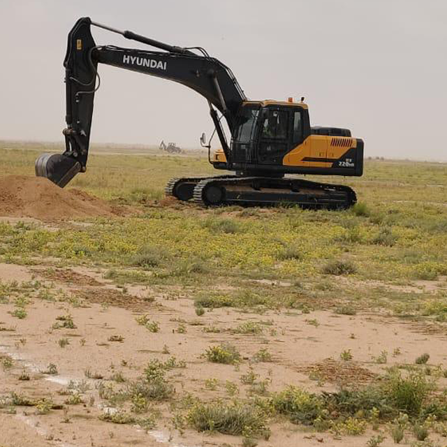 المهارة العربية