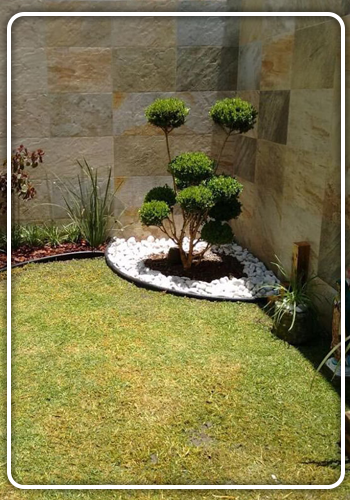 المهارة العربية