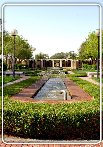 المهارة العربية